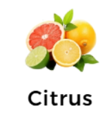 Citrus